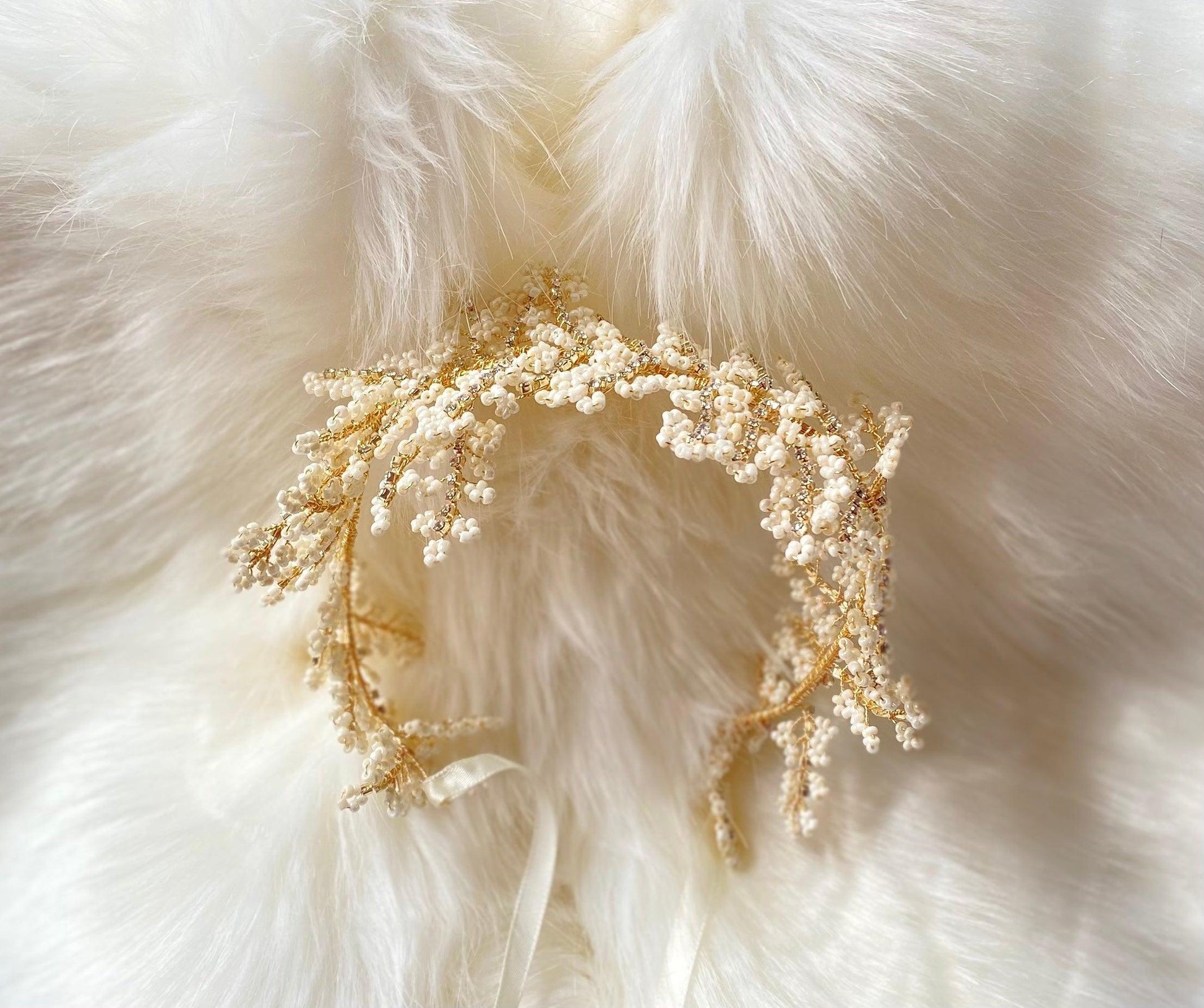 Hydrangea - Dare and Dazzle