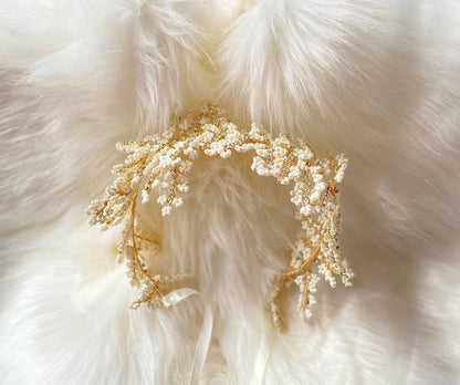 Hydrangea - Dare and Dazzle