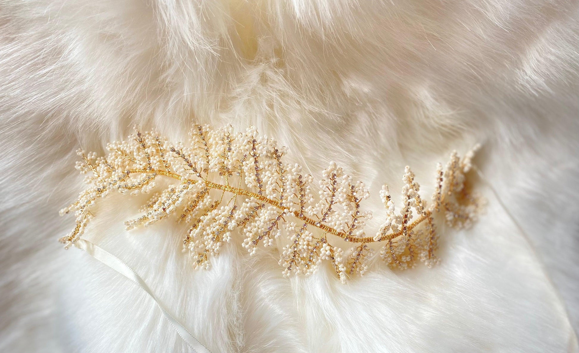 Hydrangea - Dare and Dazzle