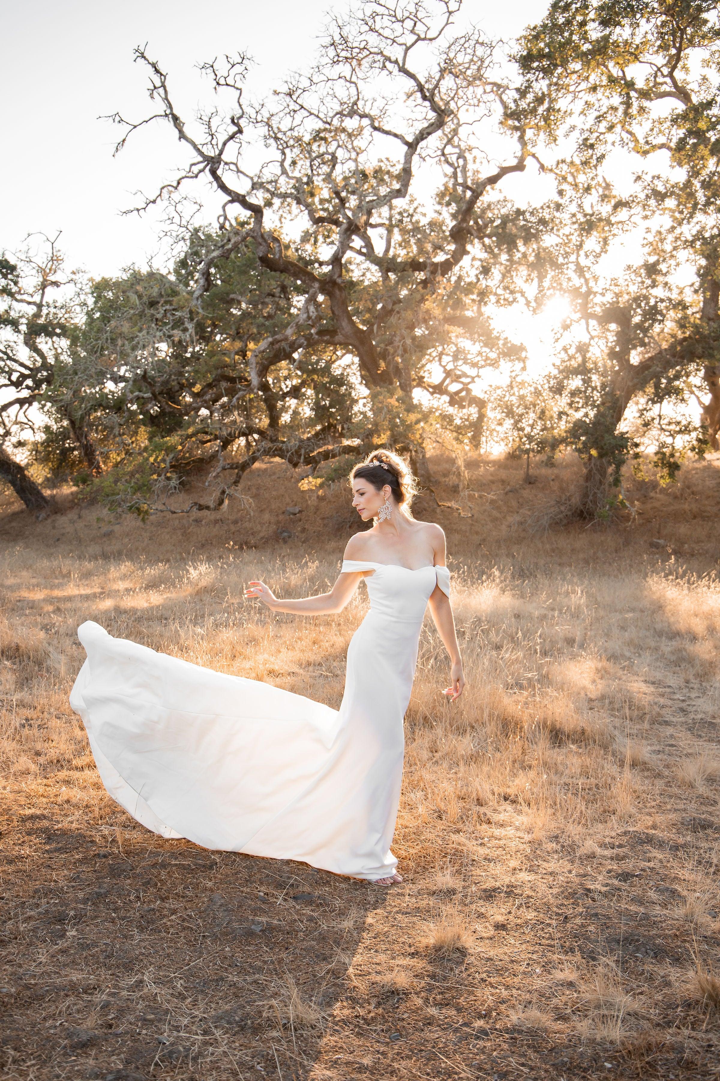 Fit and Flare Bridal Gown | Off the Shoulder Gown | Dare and Dazzle