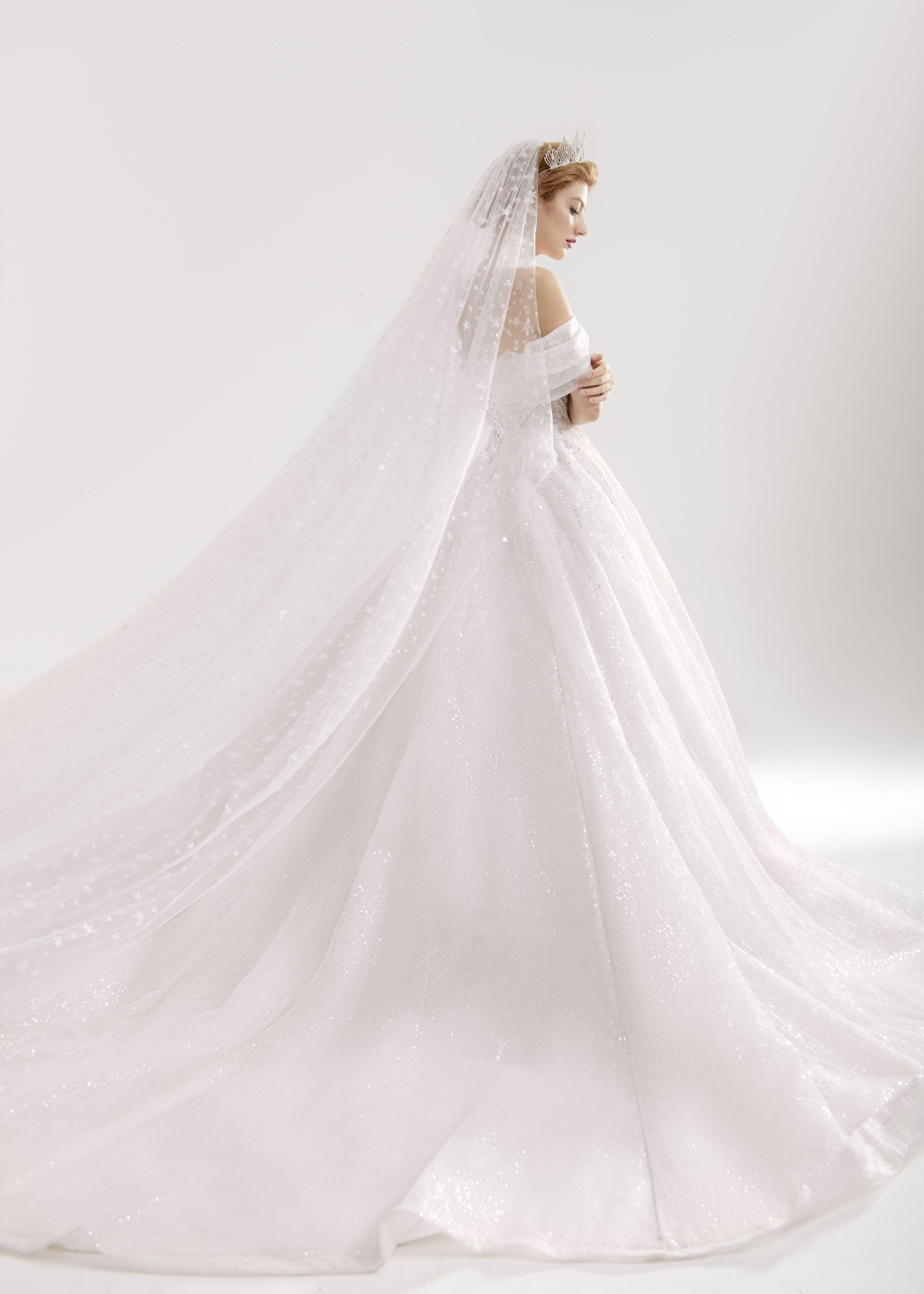 Princess Wedding Gown | Off Shoulder Bridal Gown | Dare and Dazzle